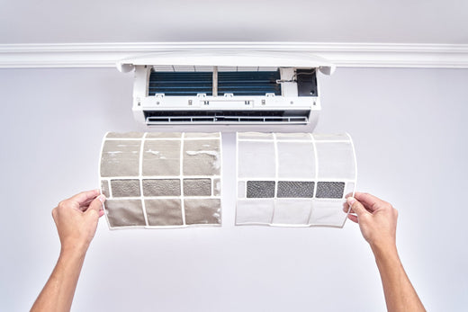 Maritime Humidity and HVAC Mold: A Halifax Homeowner's Guide